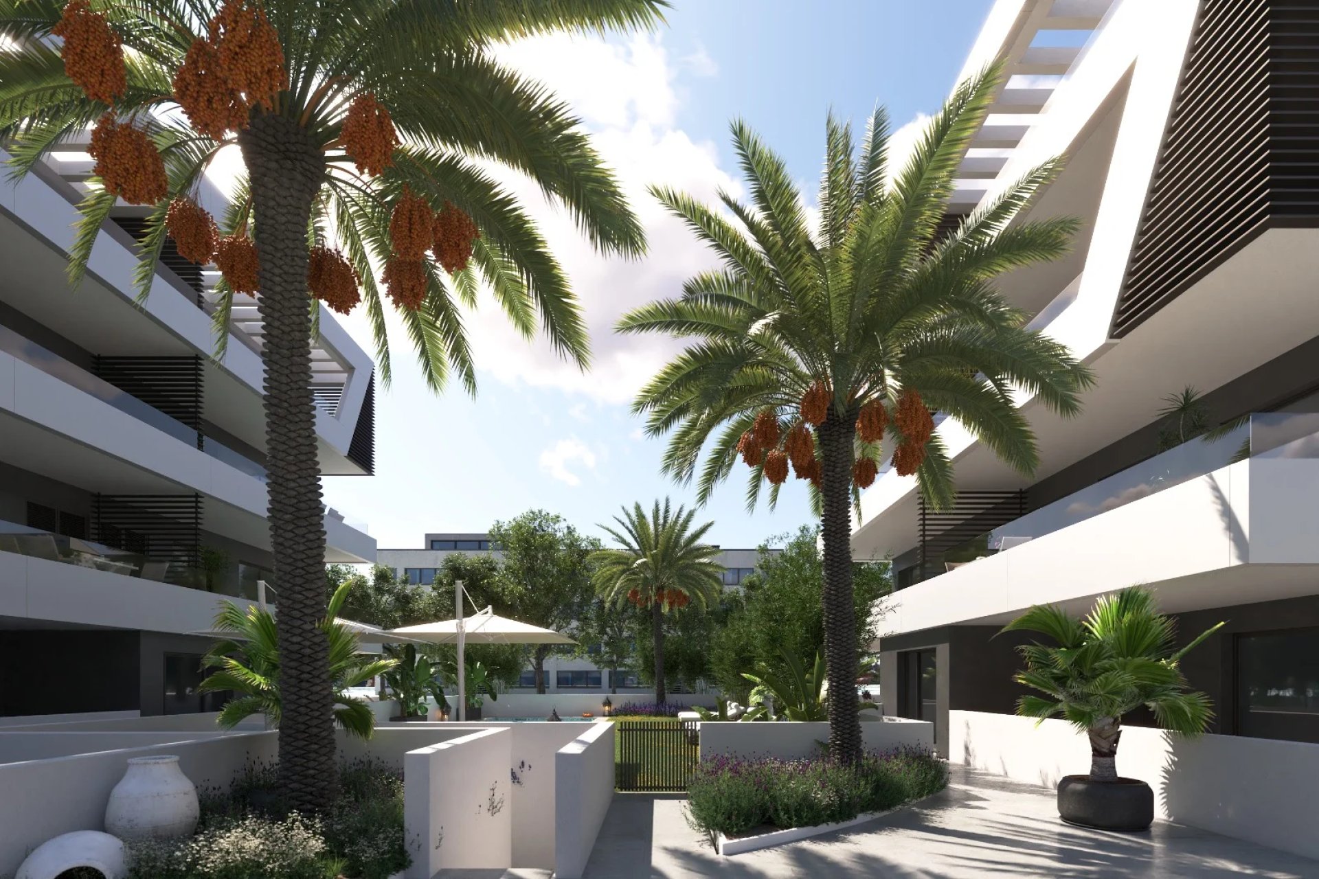 Obra nueva - planta baja -
Sant Joan d'Alacant