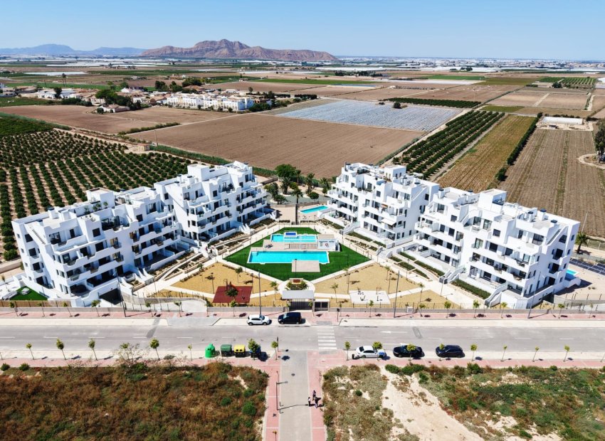 Obra nueva - Planta baja -
Torre Pacheco - Santa Rosalía