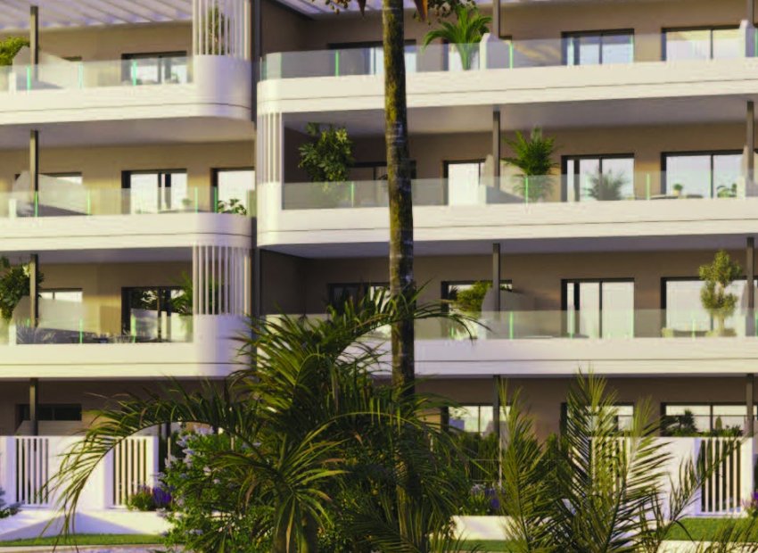 Obra nueva - Planta baja -
Torrevieja