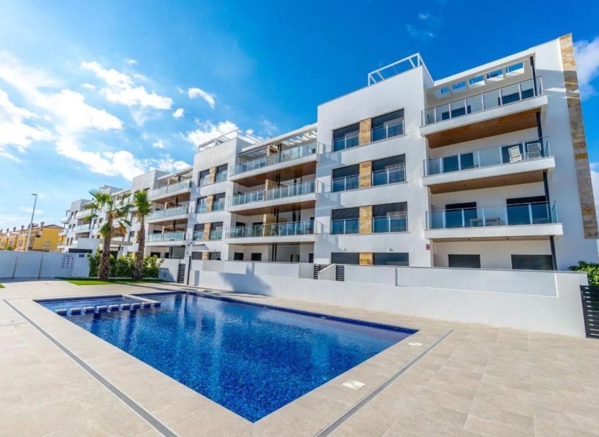 Obra nueva - Planta baja -
Torrevieja