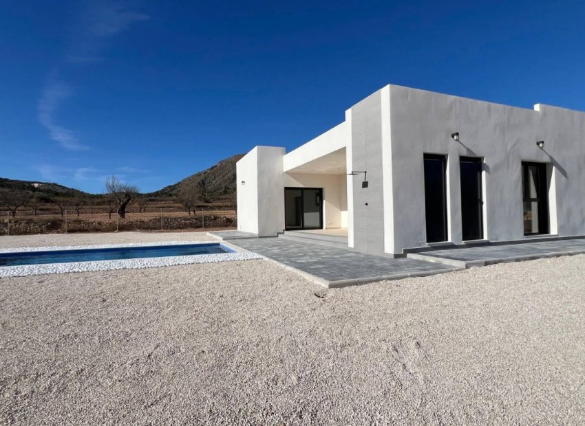 Obra nueva - Villa -
Abanilla - Cañada de la Leña