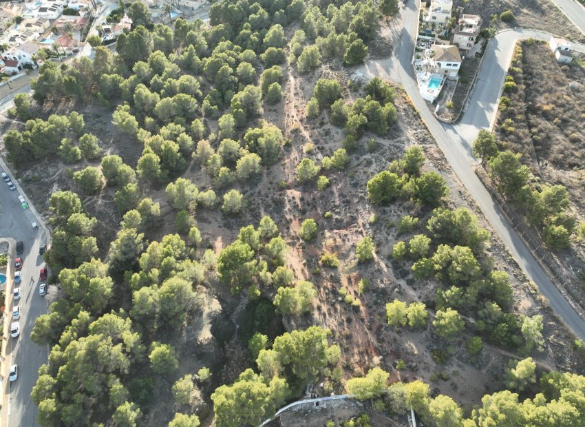 Obra nueva - Villa -
Alfas del Pí - Escandinavia