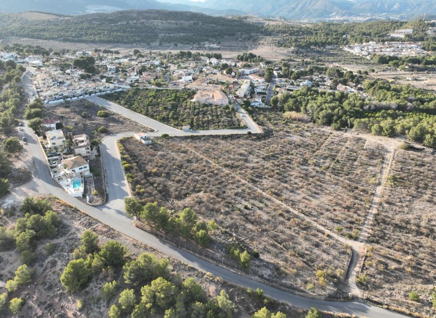 Obra nueva - Villa -
Alfas del Pí - Escandinavia