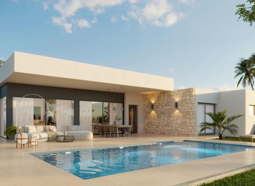 Obra nueva - Villa -
Aspe - Poligono 19