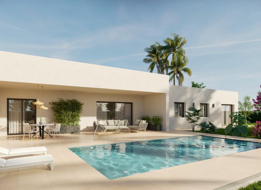 Obra nueva - Villa -
Aspe - Poligono 19
