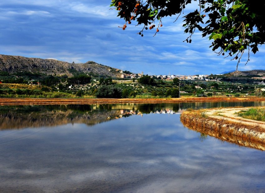 Obra nueva - Villa -
Calasparra - Coto Riñales