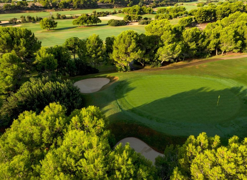 Obra nueva - Villa -
Pilar de la Horadada - Lo Romero Golf