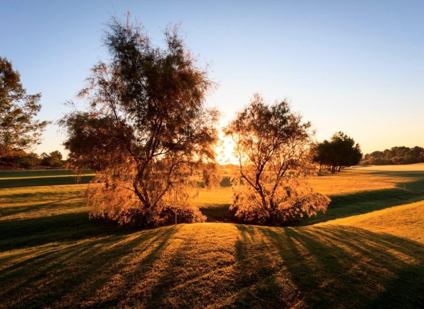 Obra nueva - Villa -
Pilar de la Horadada - Lo Romero Golf