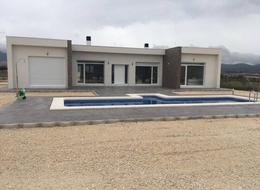 Obra nueva - Villa -
Pinoso - Camino Del Prado