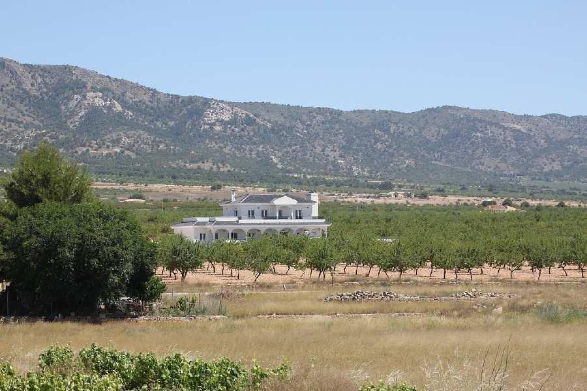 Obra nueva - Villa -
Pinoso - Camino Del Prado