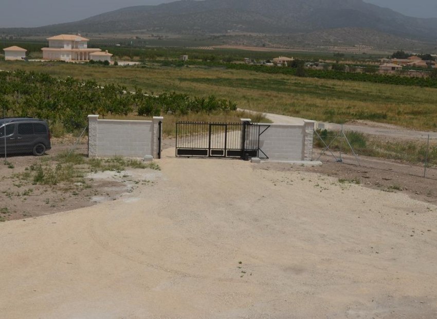 Obra nueva - Villa -
Pinoso - Camino Del Prado