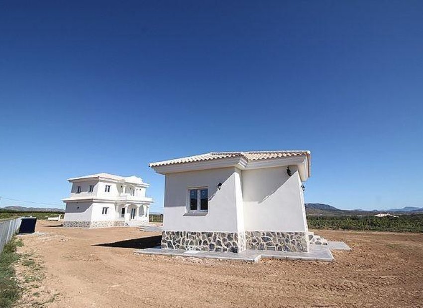 Obra nueva - Villa -
Pinoso - Camino Del Prado