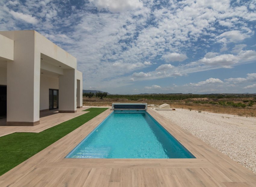 Obra nueva - Villa -
Pinoso - Campo