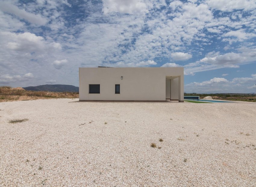 Obra nueva - Villa -
Pinoso - Campo