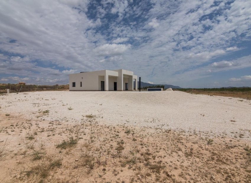 Obra nueva - Villa -
Pinoso - Campo