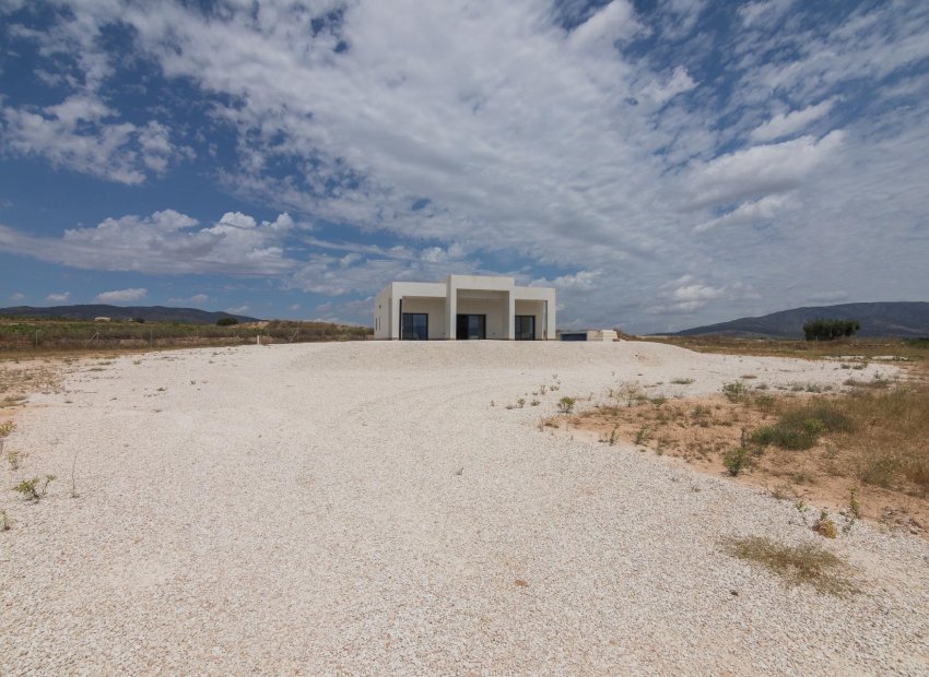 Obra nueva - Villa -
Pinoso - Campo