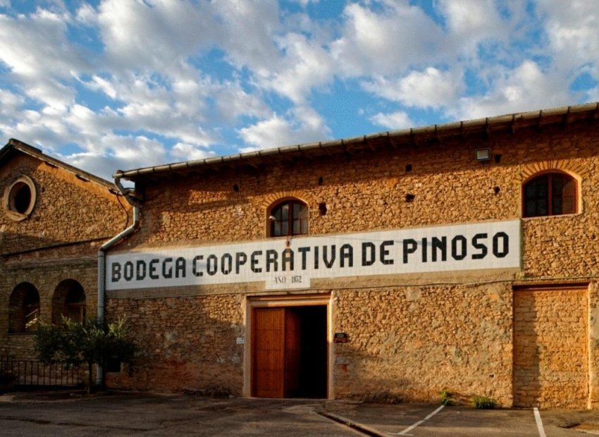 Obra nueva - Villa -
Pinoso - Campo