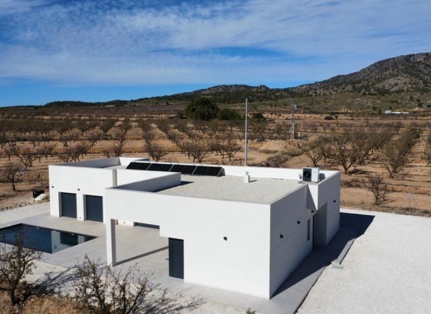 Obra nueva - Villa -
Pinoso - Campo