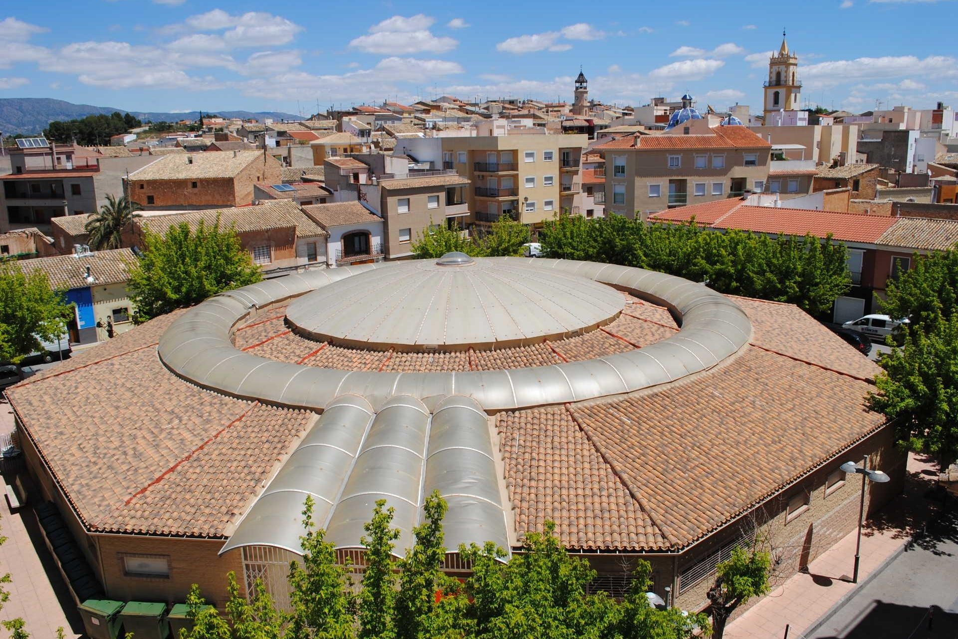 Obra nueva - Villa -
Pinoso - Campo