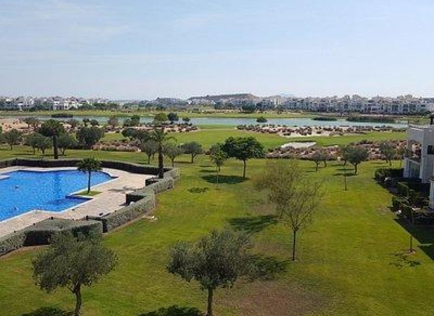 Obra nueva - Villa -
Sucina