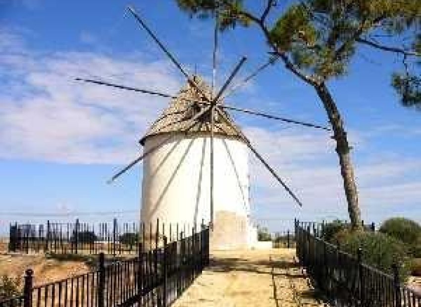 Obra nueva - Villa -
Torre Pacheco