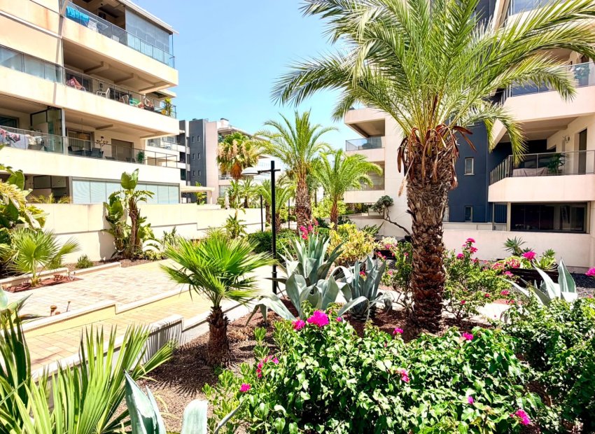 Resale - Apartment -
Orihuela Costa - La Zenia