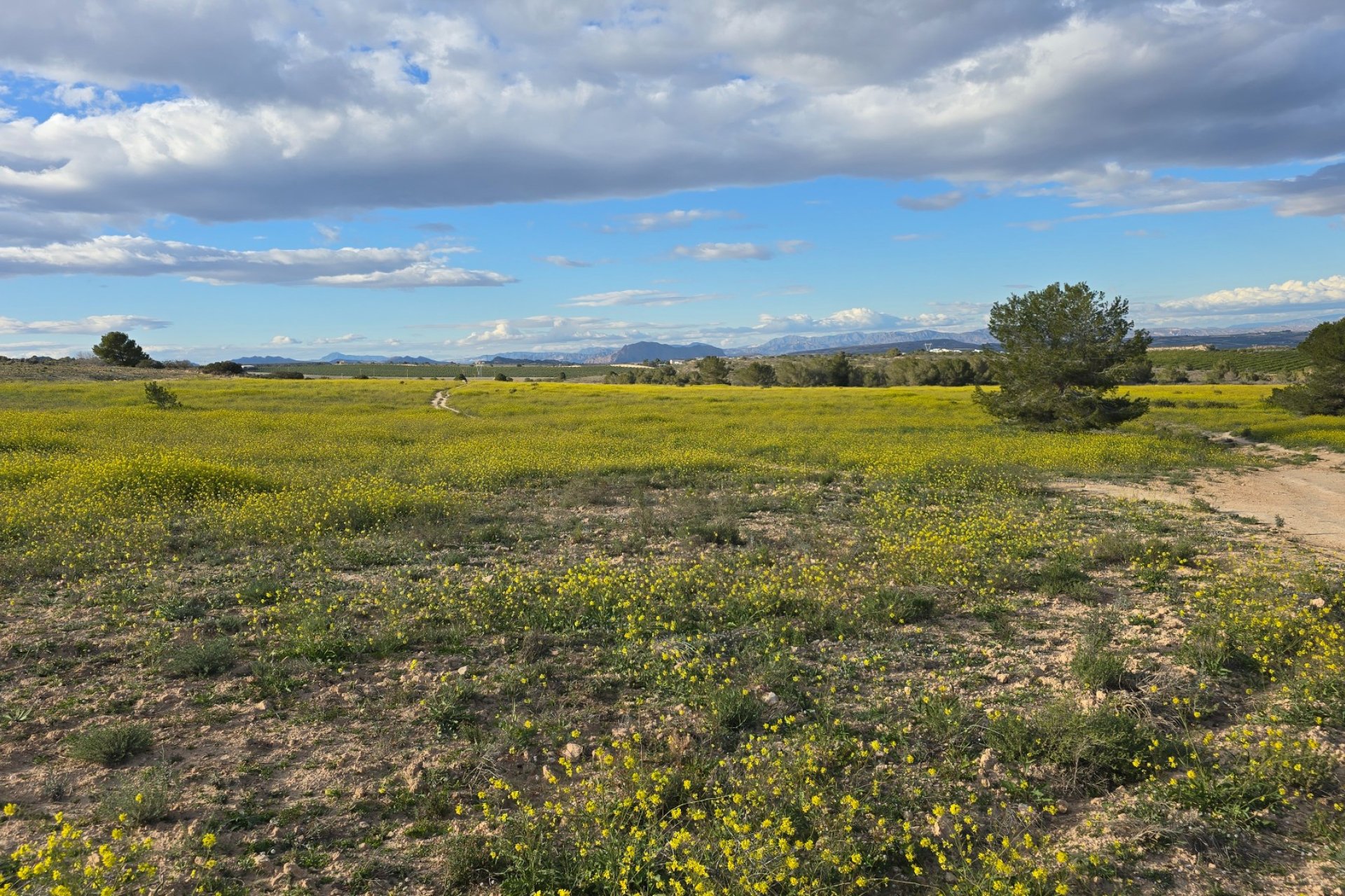 Resale - Apartment -
Orihuela Costa - Villamartin