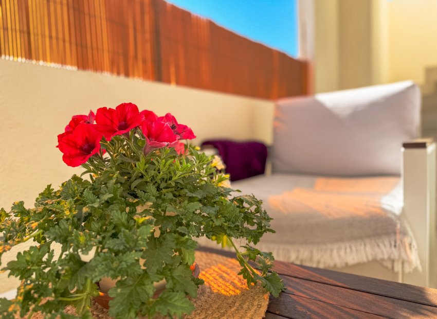 Resale - Bungalow -
Los Altos