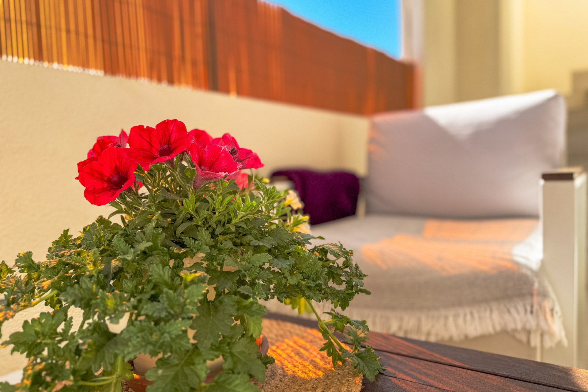 Resale - Bungalow -
Los Altos