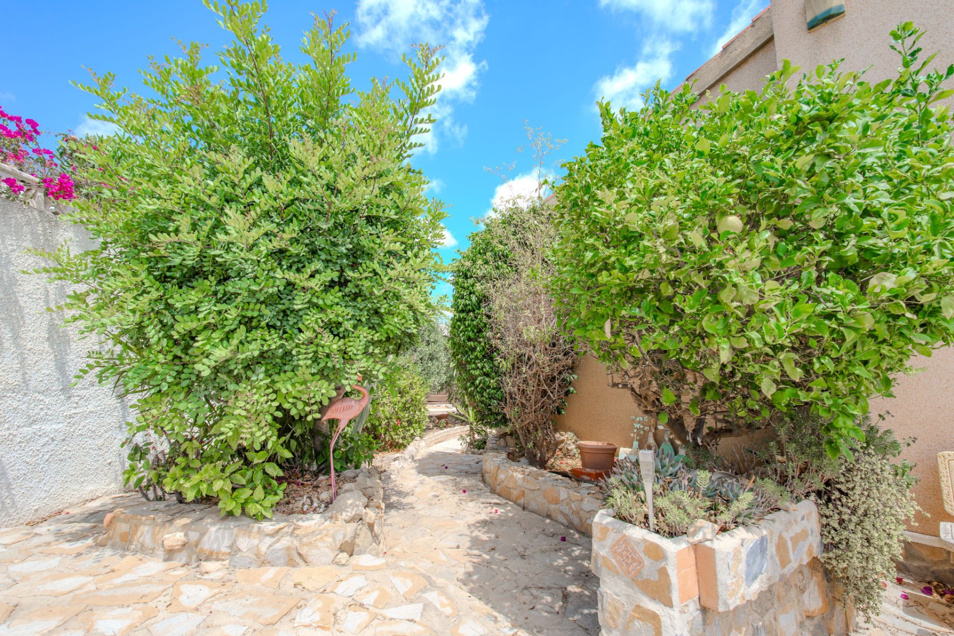 Resale - Detached House / Villa -
Ciudad Quesada - Rojales - La Marquesa Golf