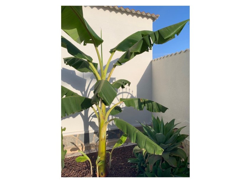 Resale - Detached House / Villa -
Ciudad Quesada - Rojales - Quesada Center