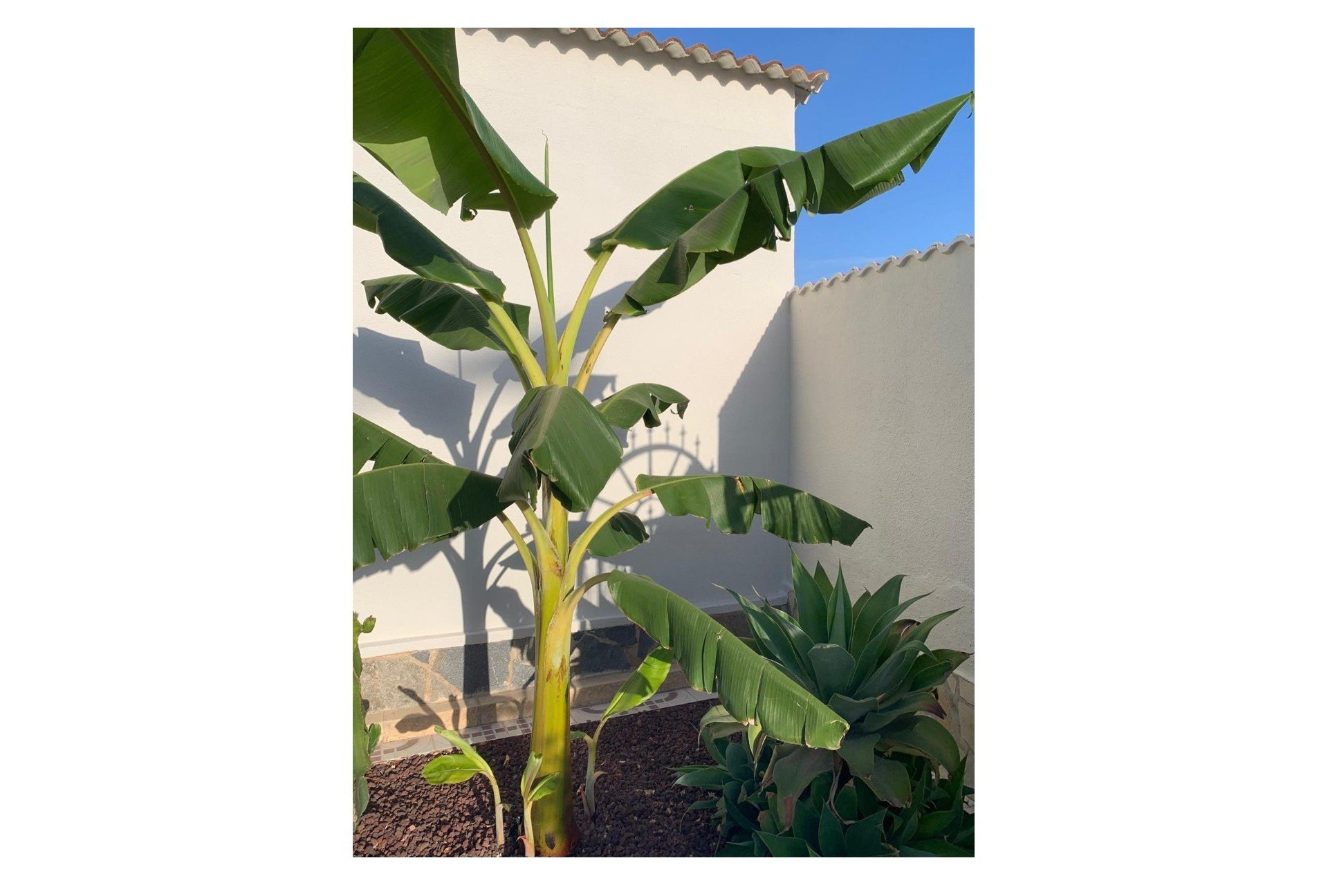 Resale - Detached House / Villa -
Ciudad Quesada - Rojales - Quesada Center