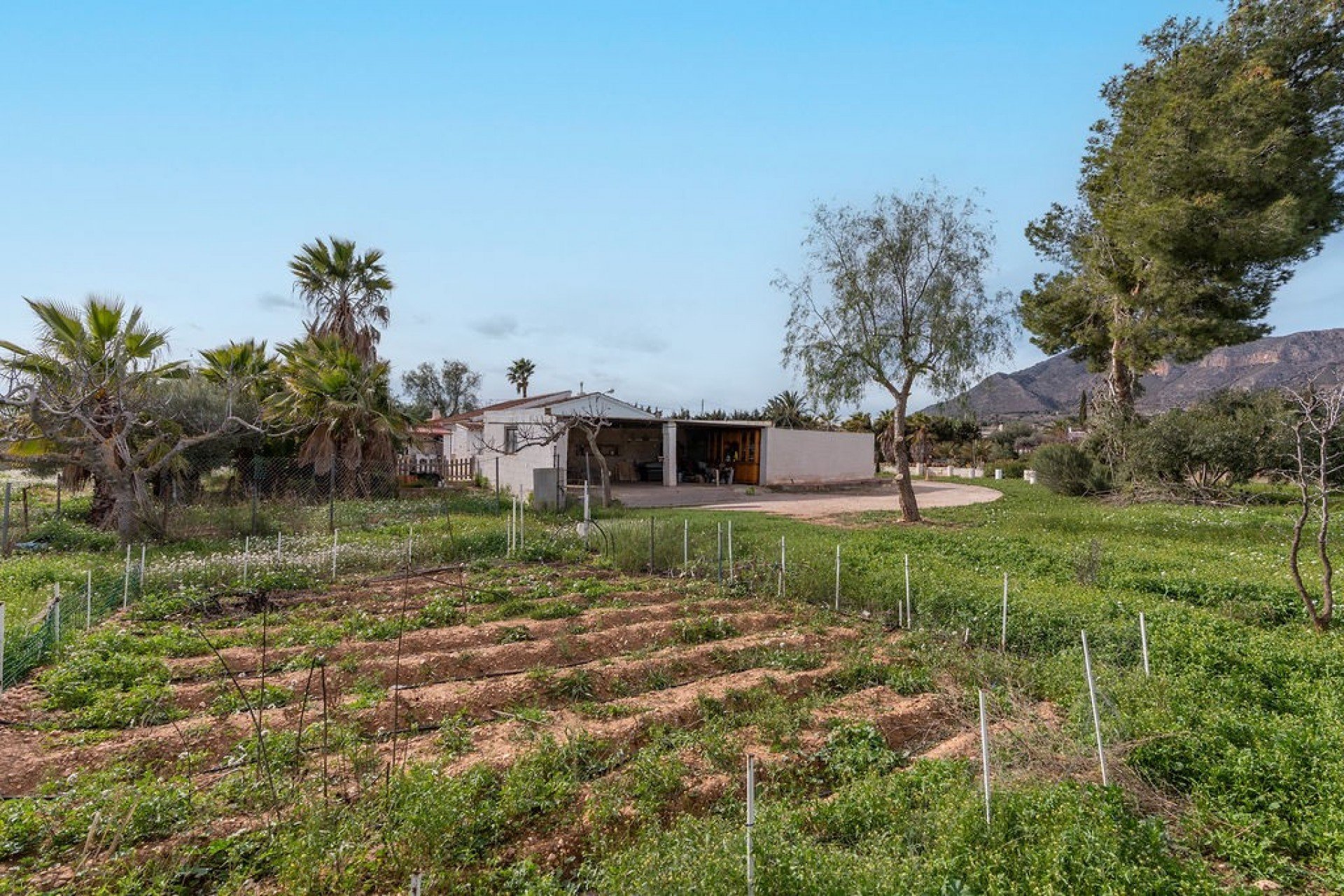 Resale - Detached House / Villa -
Hondón de las Nieves