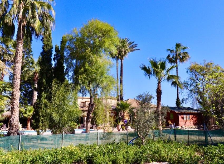 Resale - Finca   -
Ciudad Quesada - Rojales - Heredades