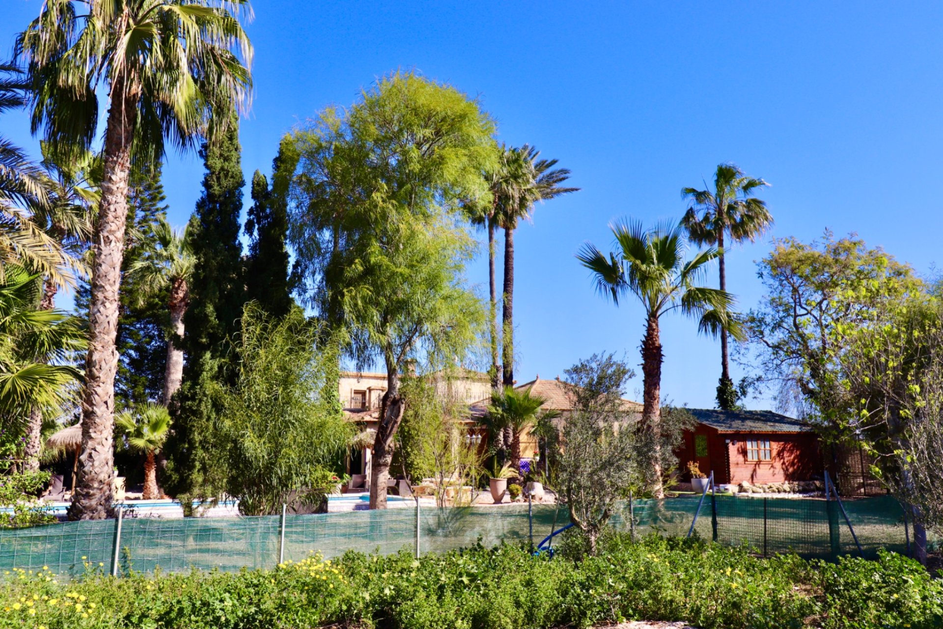 Resale - Finca   -
Ciudad Quesada - Rojales - Heredades