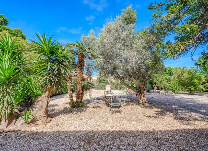 Resale - Finca   -
Ciudad Quesada - Rojales - Rojales