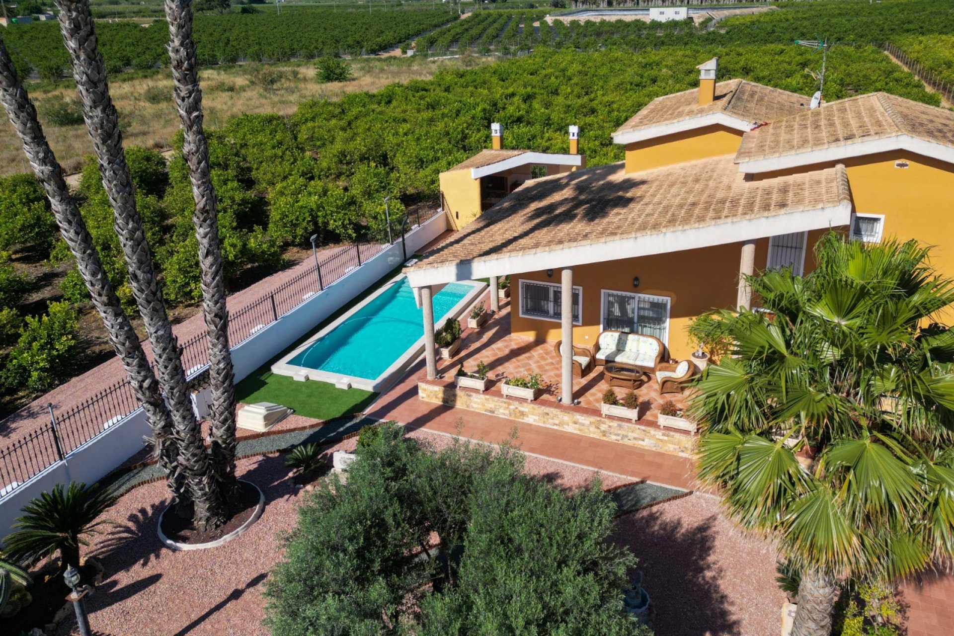 Resale - Finca   -
Orihuela