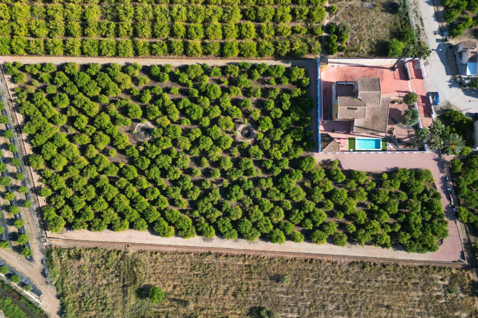 Resale - Finca   -
Orihuela