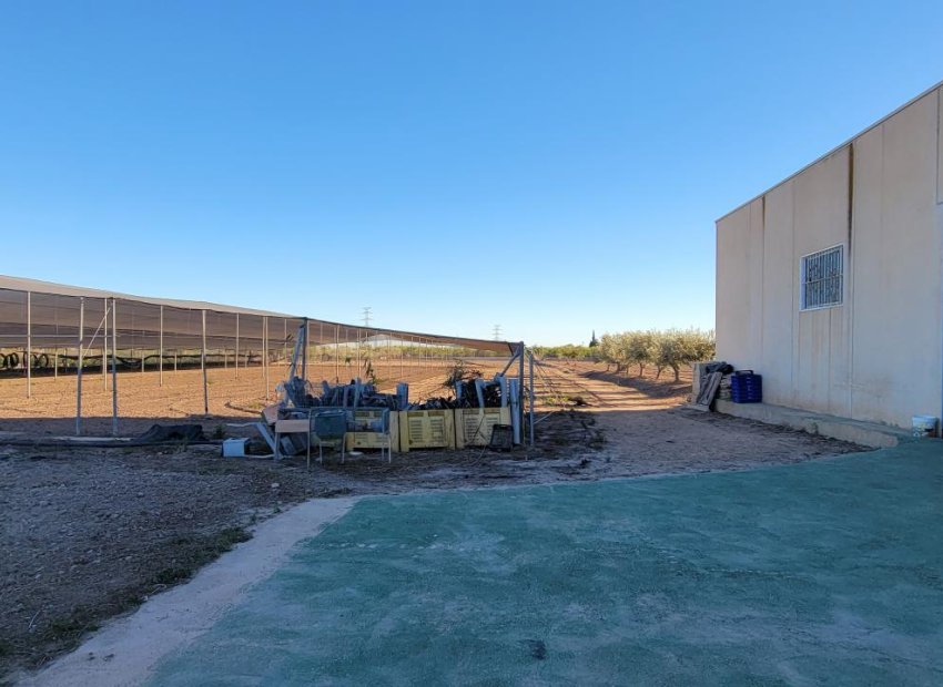 Resale - Finca   -
San Miguel de Salinas