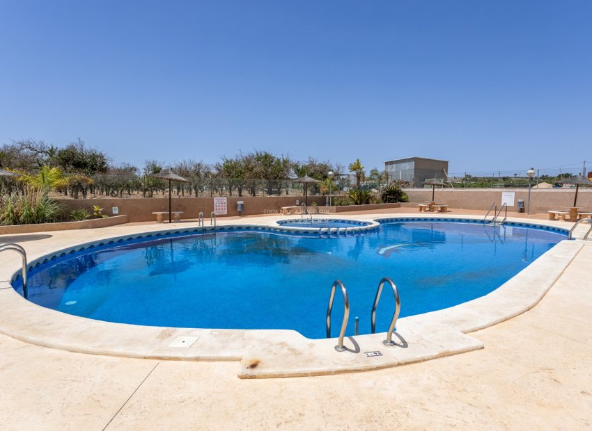 Resale - Semi - Detached Villa -
Guardamar del Segura - El Raso