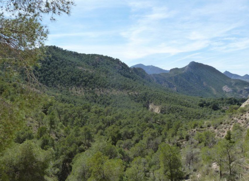 Reventa - Adosado -
Murcia