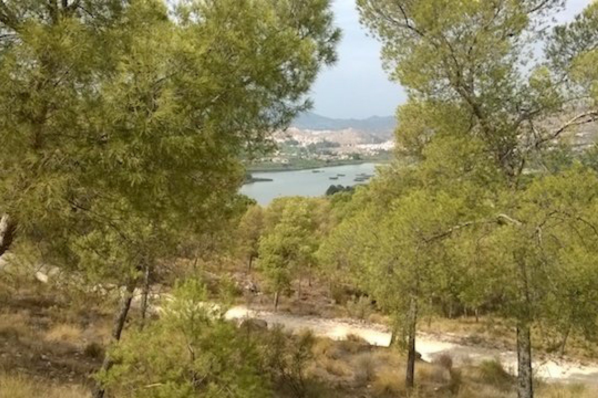 Reventa - Adosado -
Murcia