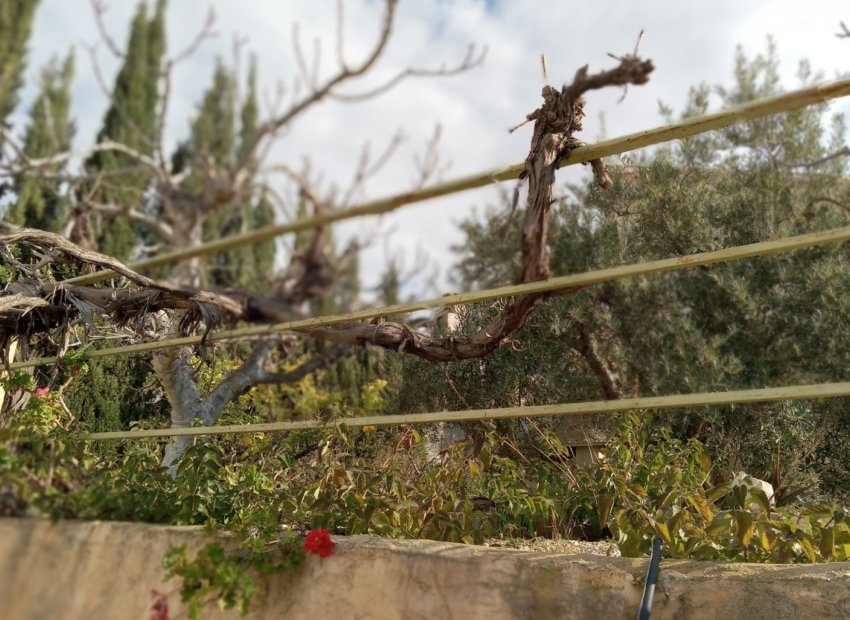 Reventa - Adosado -
Murcia