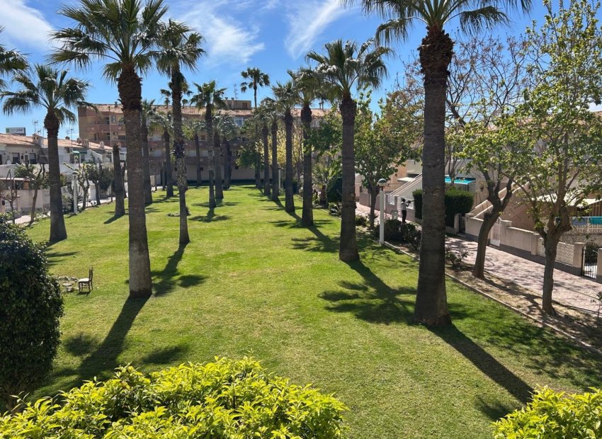 Reventa - Apartamento -
Cabo Roig