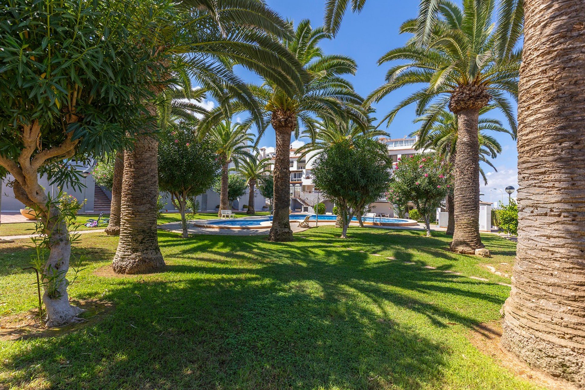 Reventa - Apartamento -
La Mata