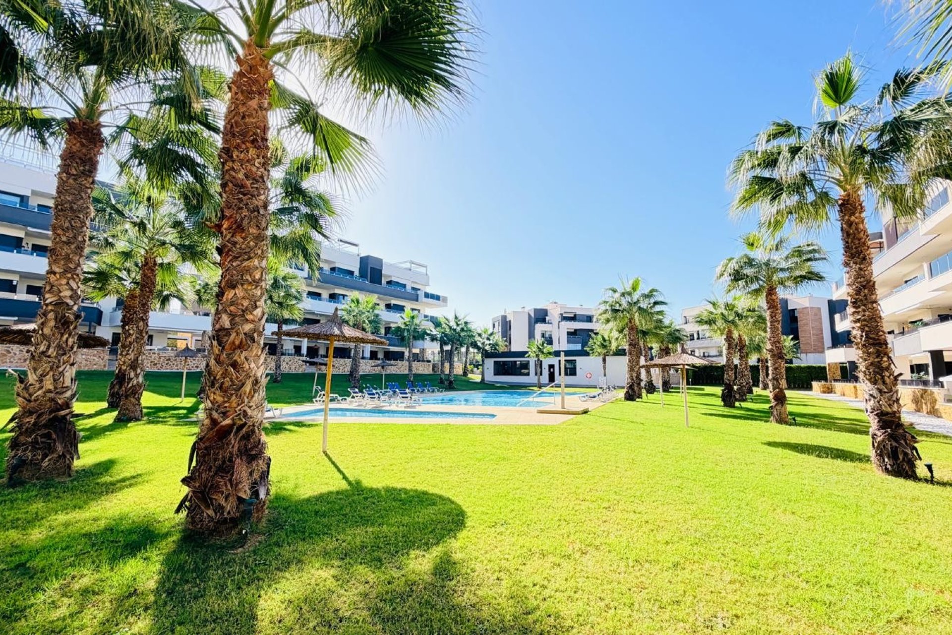 Reventa - Apartamento -
Orihuela Costa - Los Altos