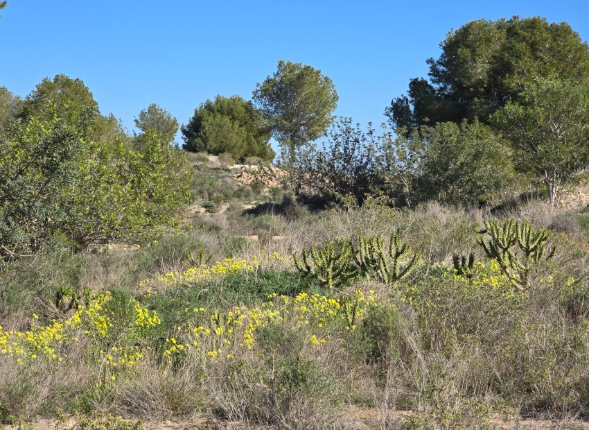 Reventa - Apartamento -
Orihuela Costa - Villamartin