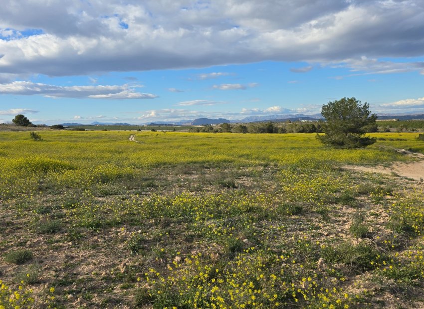 Reventa - Apartamento -
Orihuela Costa