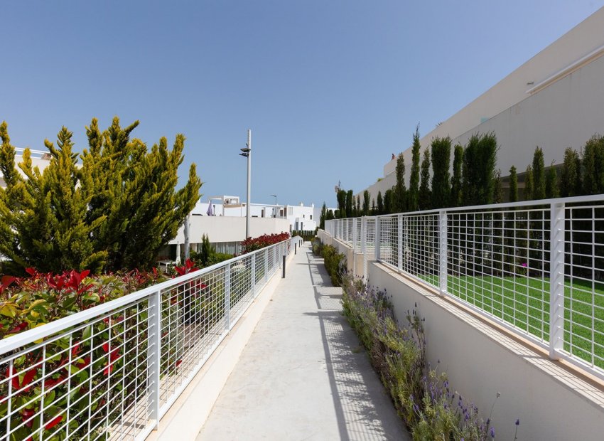 Reventa - Apartamento -
Torrevieja - Los Balcones