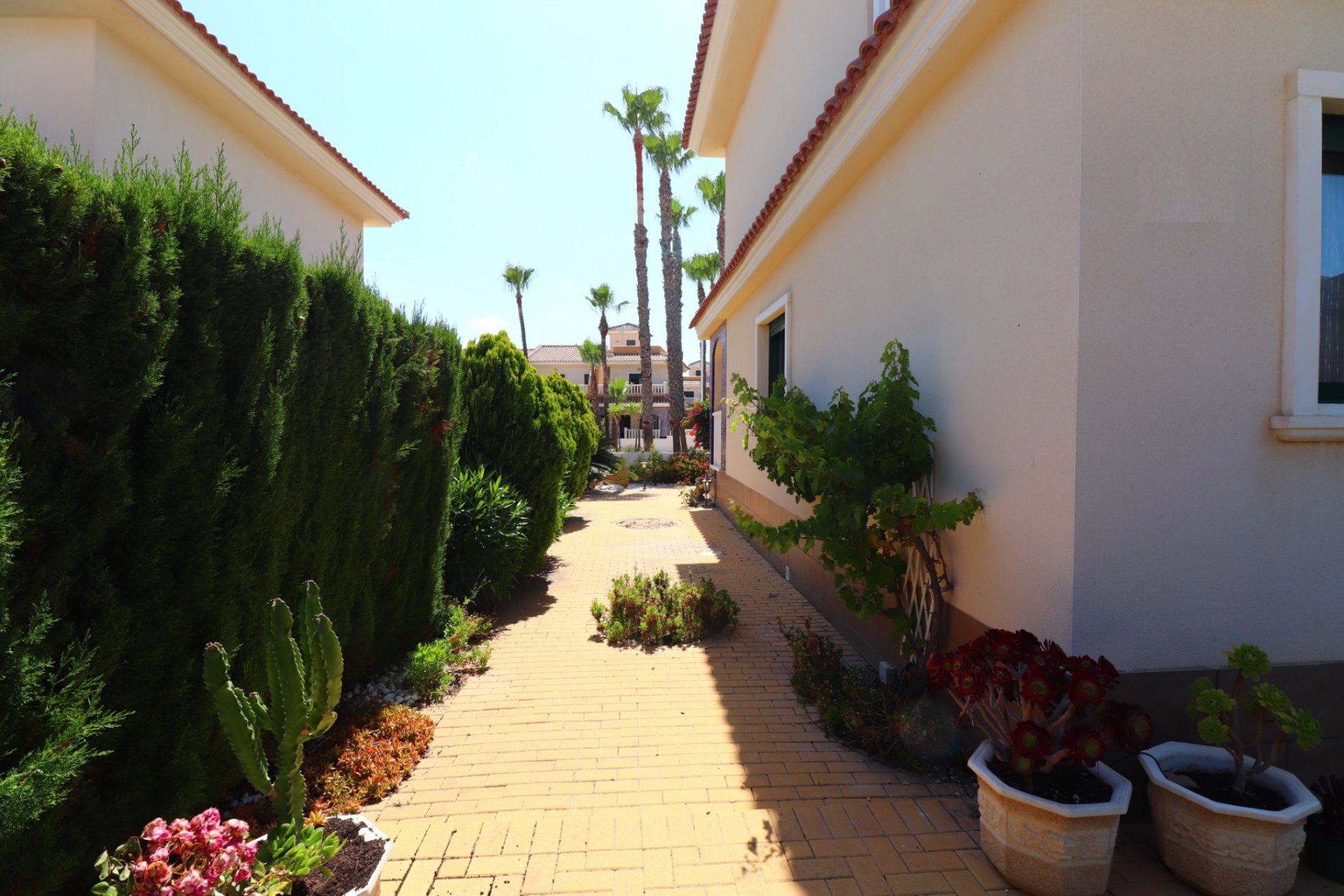 Reventa - Casa adosada -
Ciudad Quesada - Rojales - Doña Pepa